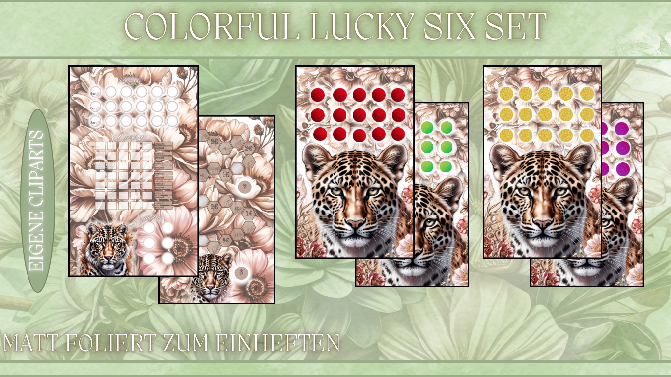B-WARE Colorful Lucky Six Set