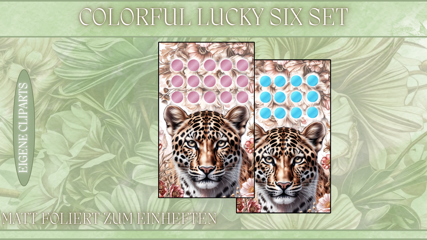 B-WARE Colorful Lucky Six Set